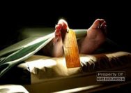 Operasi Senyap 2019: Menelusuri Jejak Toksin di Tubuh 900 Pahlawan KPPS yang "Kelelahan"