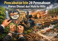 Pencabutan Izin 28 Perusahaan Harus Diusut dari Hulu ke Hilir