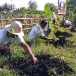 HUT ke-18 Gerindra, Petani Nagekeo Tanam Pisang  Dukung Program MBG